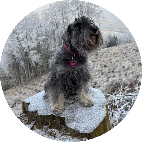 Chaluha z Apatyky na vycházce