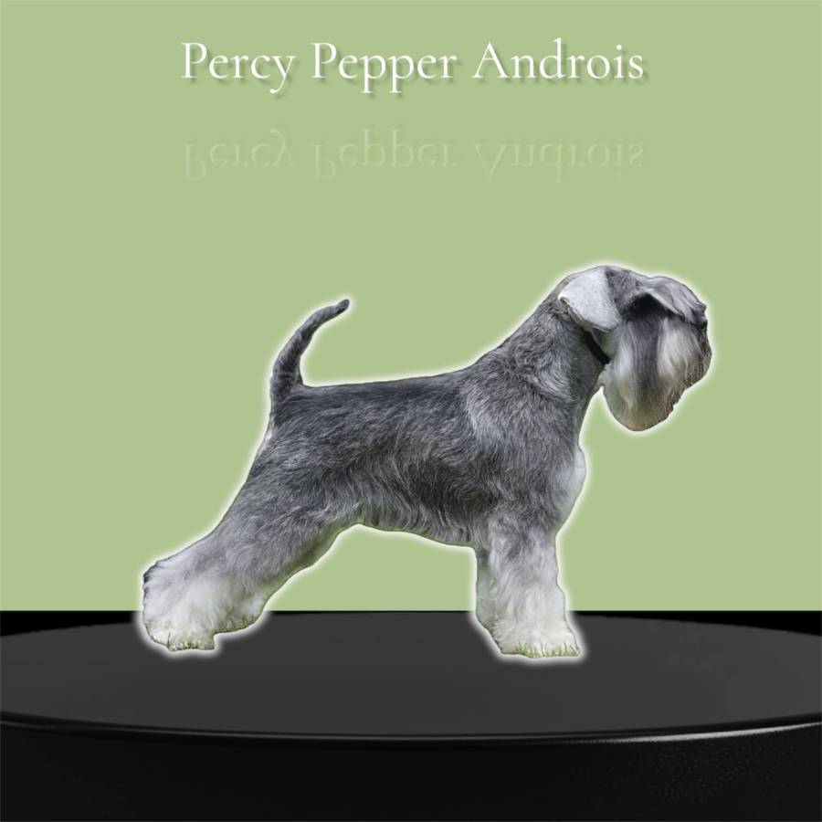 Percy Pepper Androis